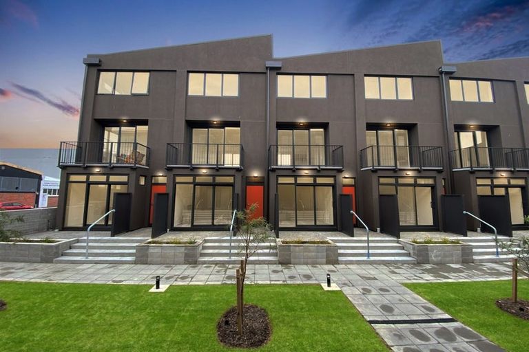 Photo of property in Aniva Terrace, 17 Arney Street, Newtown, Wellington, 6021