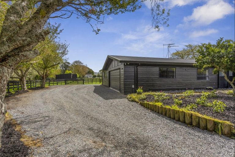 Photo of property in 43 Forrest Road, Cambridge, 3493