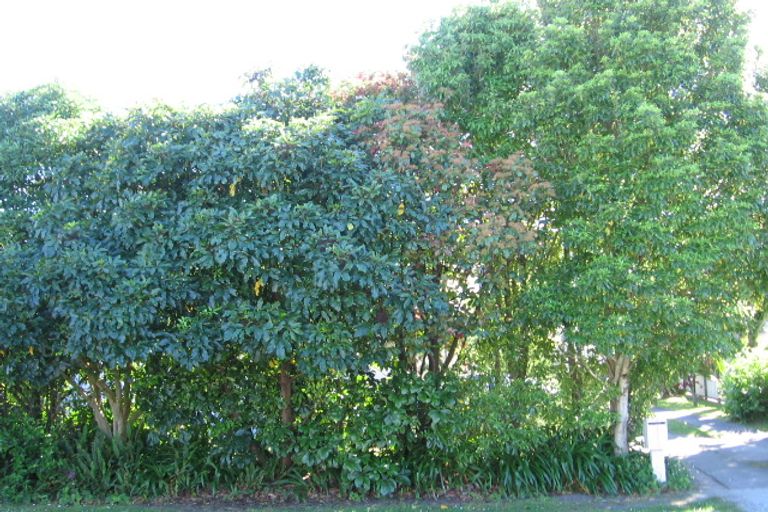 Photo of property in 223 Clifford Street, Whataupoko, Gisborne, 4010