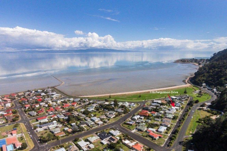 Photo of property in 115 Fergusson Drive, Thames, 3500