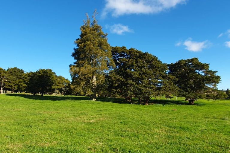 Photo of property in 550 Burnside Road, Makarau, Warkworth, 0873