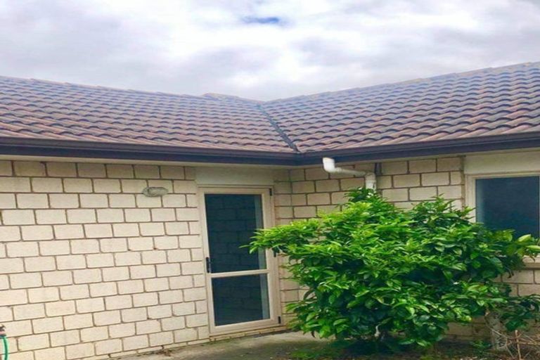 Photo of property in 30 Innisowen Place, Flat Bush, Auckland, 2019