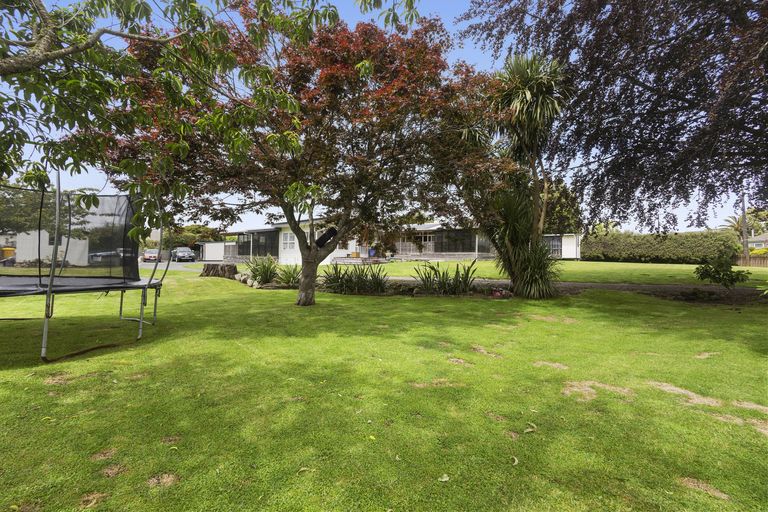 Photo of property in 3 Fitzherbert Street, Putaruru, 3411