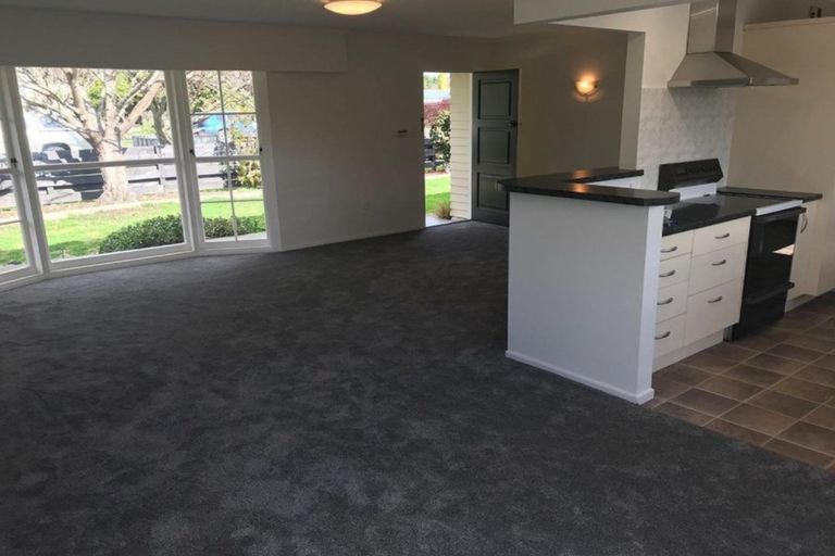 Photo of property in 58 Te Aute Road, Havelock North, 4130