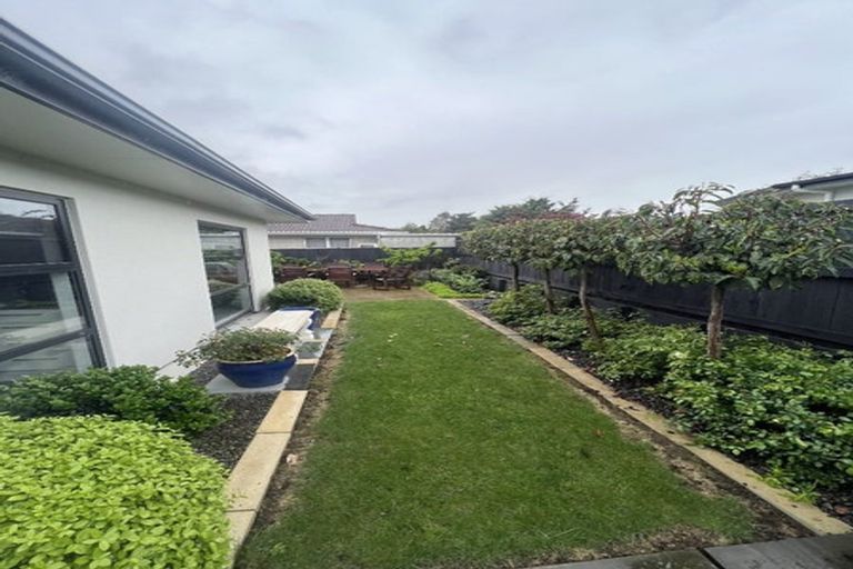 Photo of property in 1u2 Murray Street, Maeroa, Hamilton, 3200