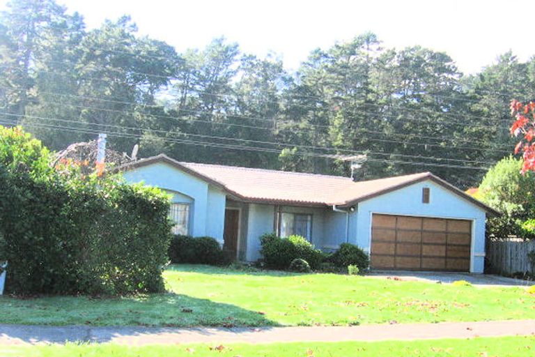 Photo of property in 41 Clemow's Lane, Albany, Auckland, 0632