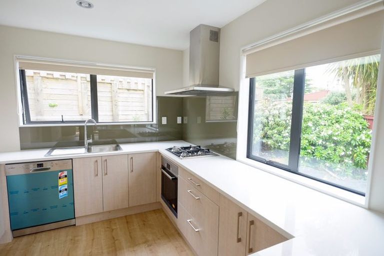 Photo of property in 50 Kennedy Avenue, Forrest Hill, Auckland, 0620