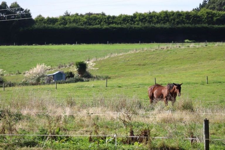 Photo of property in 500 Mill North, Roslyn Bush, Invercargill, 9876