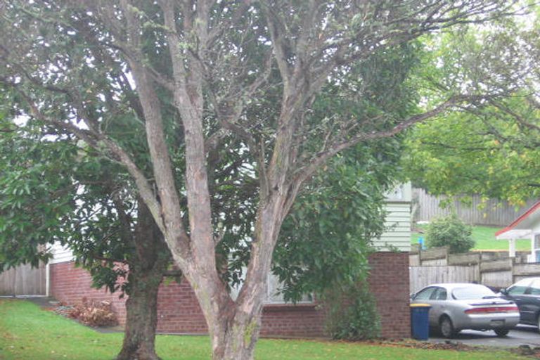 Photo of property in 46 Eyre Street, Henderson, Auckland, 0612