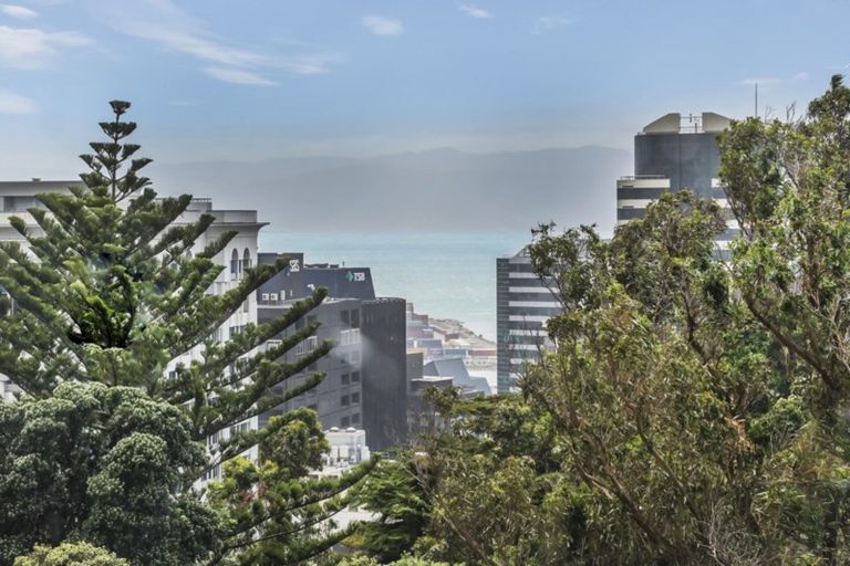 Photo of property in Samoa High Commission, 1f3 Wesley Road, Kelburn, Wellington, 6012