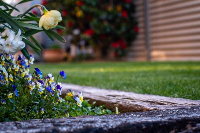 Photo of property in 31 Rhoboro Road, Twizel, 7901