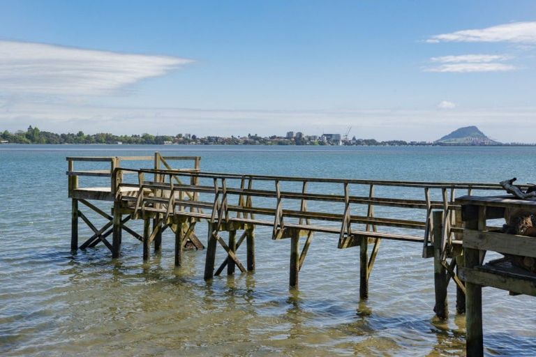 Photo of property in 284 Maungatapu Road, Maungatapu, Tauranga, 3112