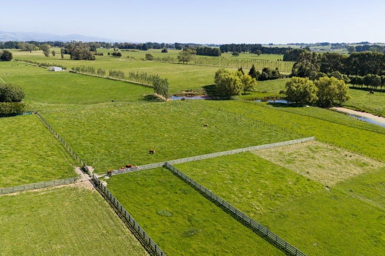 Photo of property in 89 Ulysses Road, Ashhurst, Palmerston North, 4470