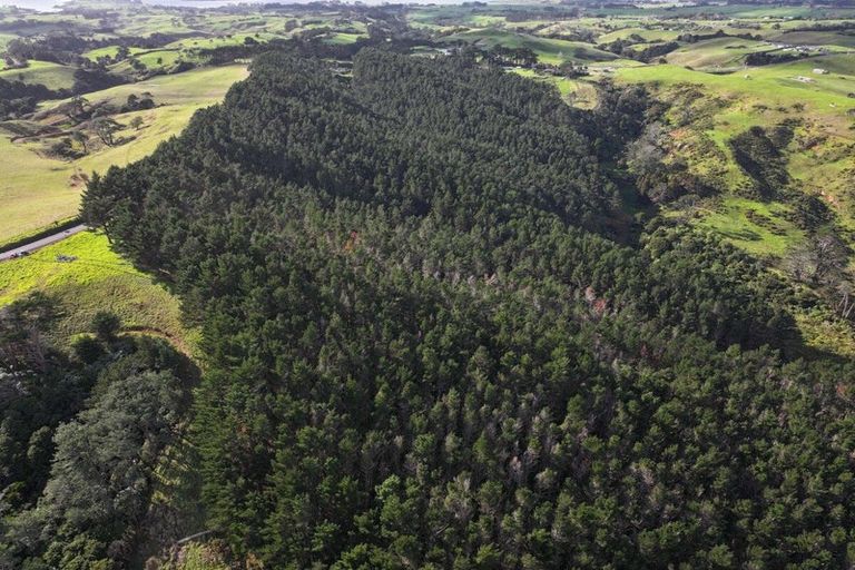 Photo of property in 2 Awhitu Road, Waiuku, 2683