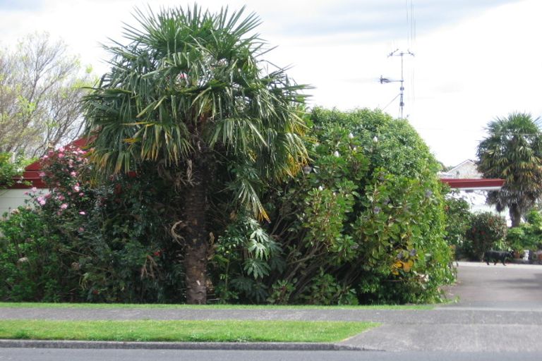 Photo of property in 190 Maungatapu Road, Maungatapu, Tauranga, 3112