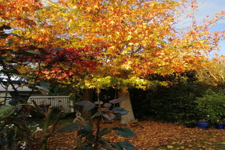 Photo of property in 30 Dundas Street, Porangahau, 4293