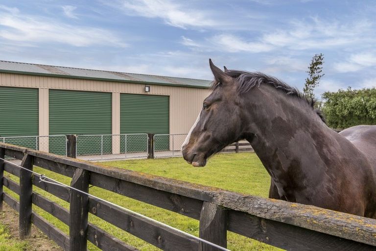 Photo of property in 523 Shands Road, Prebbleton, Christchurch, 7676