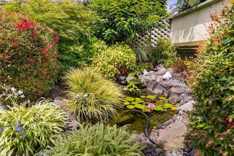 Photo of property in 38 Olympic Drive, Whakatane, 3120