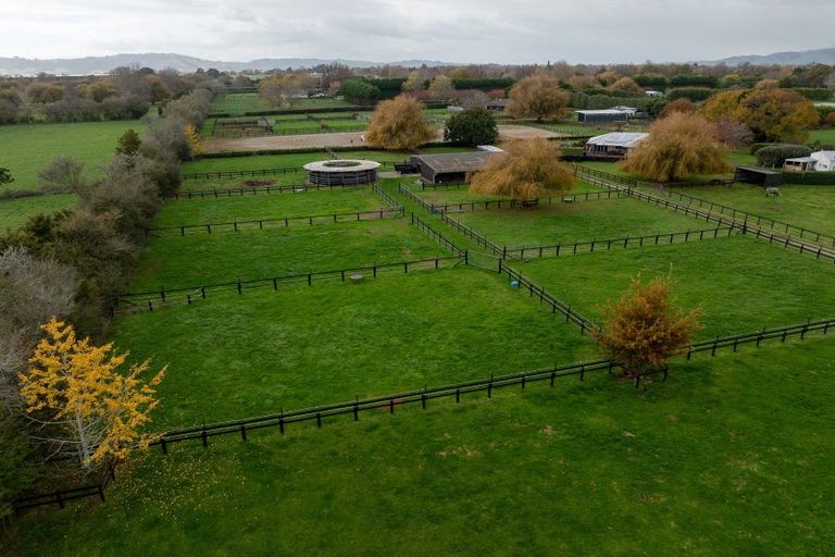 Photo of property in 204 Racecourse Road, Cambridge, 3493