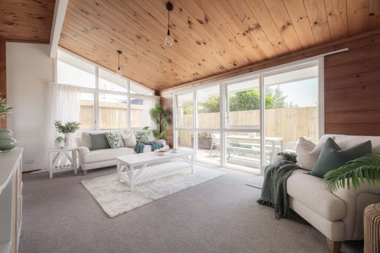 Photo of property in 66 Campbell Road, Mount Maunganui, 3116