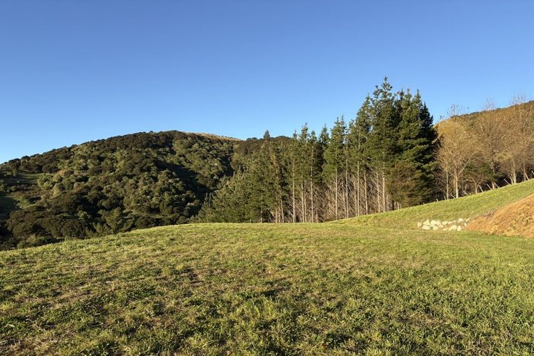 Photo of property in 24 Skylark Rise, Todds Valley, Nelson, 7071