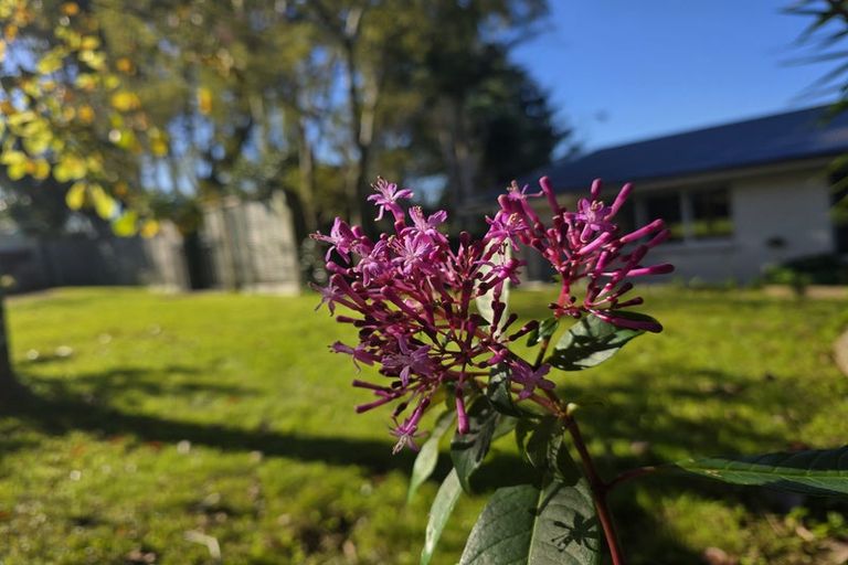 Photo of property in 67 Fifteenth Avenue, Tauranga South, Tauranga, 3112