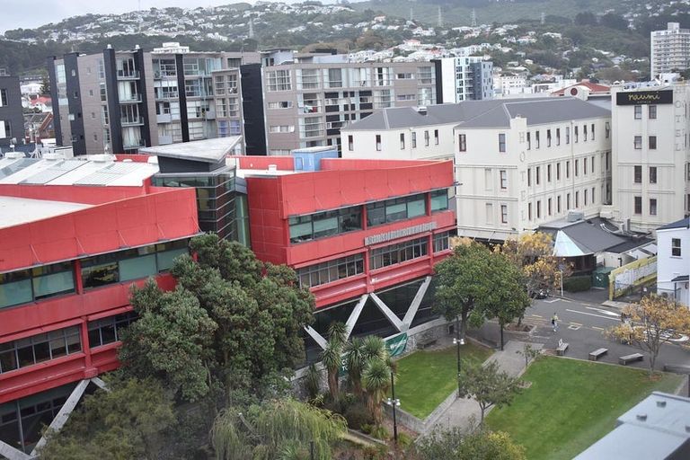 Photo of property in Rostrevor House, 7/130a Vivian Street, Te Aro, Wellington, 6011