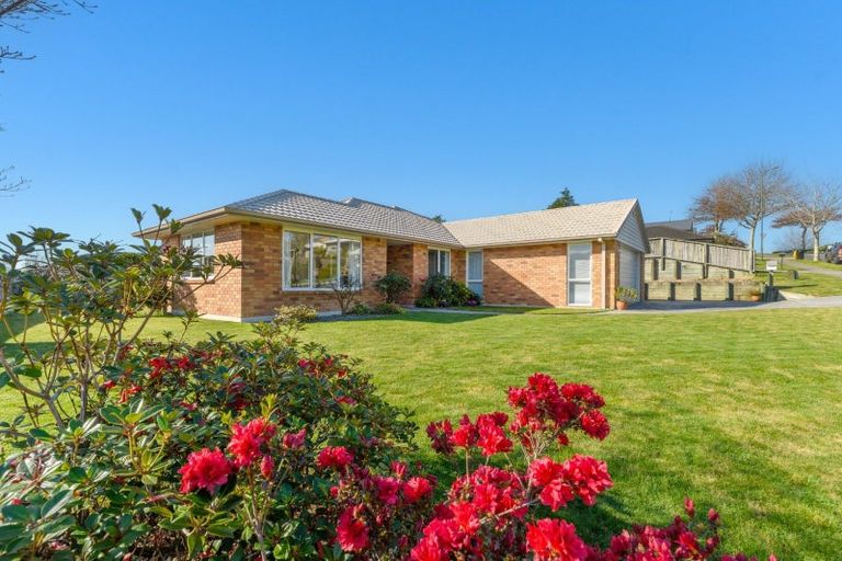 Photo of property in 124 Rowesdale Drive, Ohauiti, Tauranga, 3112