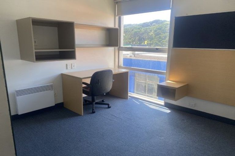 Photo of property in Hanson House, 7a/27 Hanson Street, Mount Cook, Wellington, 6021