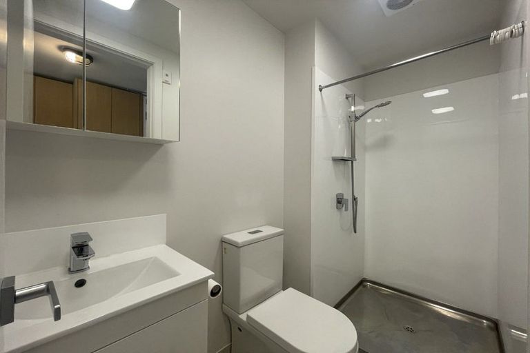 Photo of property in Vedado Apartments, 208/41u Hopper Street, Mount Cook, Wellington, 6011