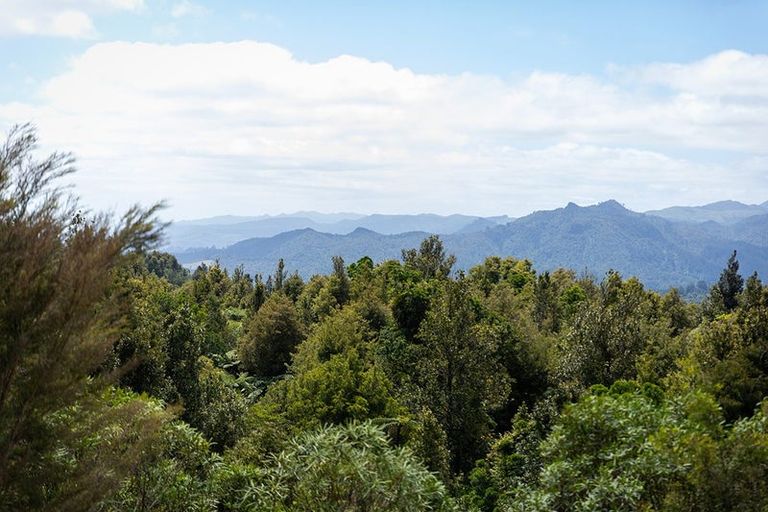 Photo of property in 334a Goble Road, Komata, Paeroa, 3674