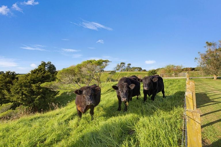 Photo of property in 104b Awanuiarangi Road, Pikowai, Whakatane, 3194