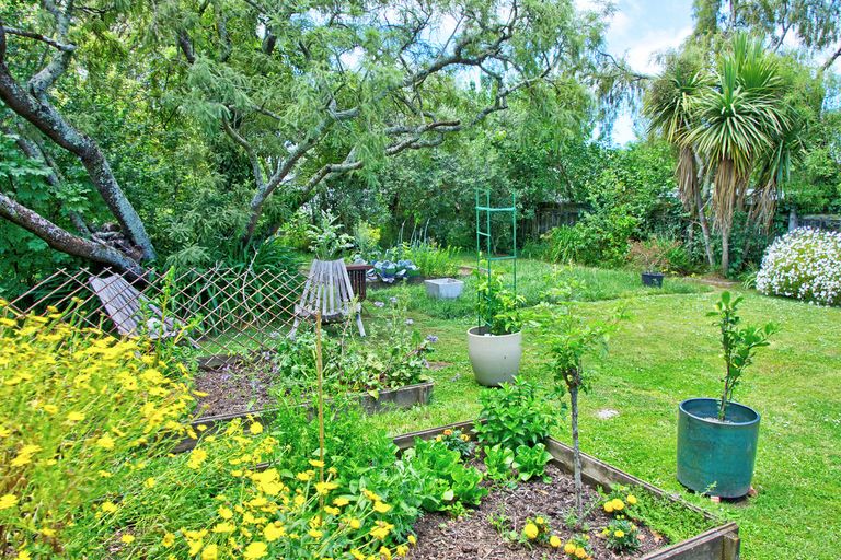 Photo of property in 56 College Street, Masterton, 5810