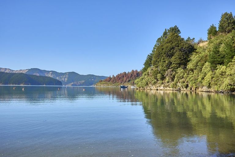 Photo of property in 16 Hakahaka Road, Port Underwood, Picton, 7281