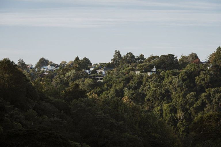 Photo of property in 91 Cannington Road, Maori Hill, Dunedin, 9010