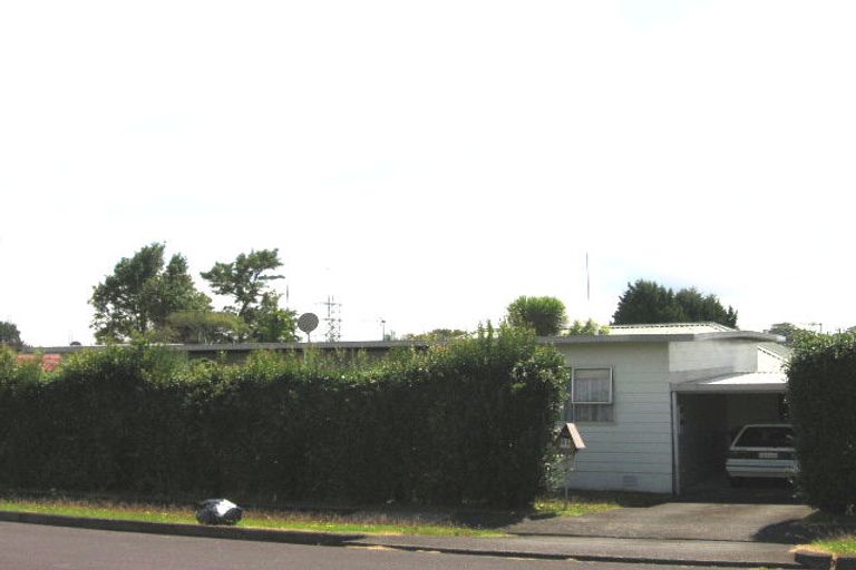 Photo of property in 87 Nikau Street, New Lynn, Auckland, 0600