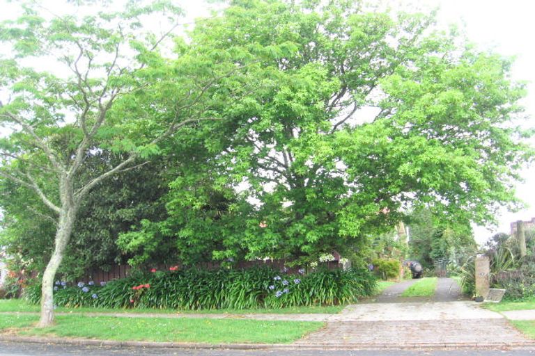 Photo of property in 53 John Street, Pukekohe, 2120