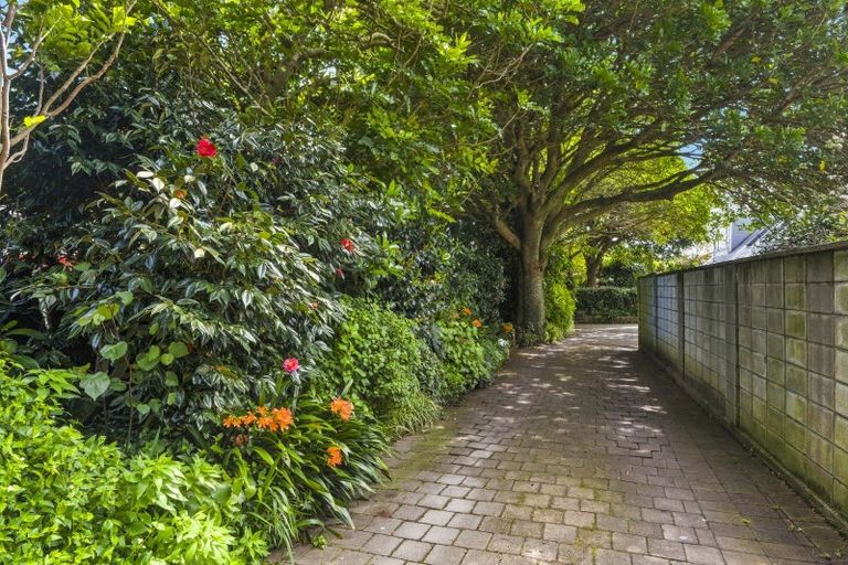 Photo of property in 335 Te Moana Road, Waikanae, 5036