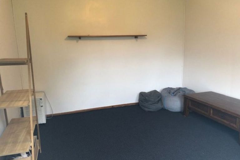 Photo of property in 48 Woodhaugh Street, Woodhaugh, Dunedin, 9010