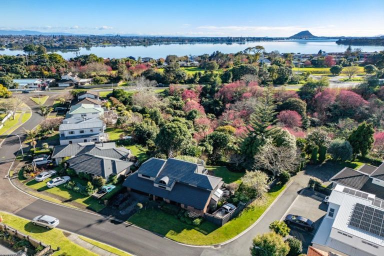 Photo of property in 3 Curlew Close, Maungatapu, Tauranga, 3112