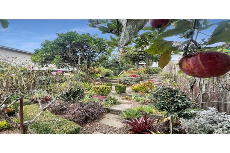 Photo of property in 6 Strathmore Place, Whakatane, 3120