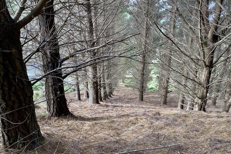 Photo of property in Long Gully Farm, 391 Southernthread Road, Brooklyn, Wellington, 6021