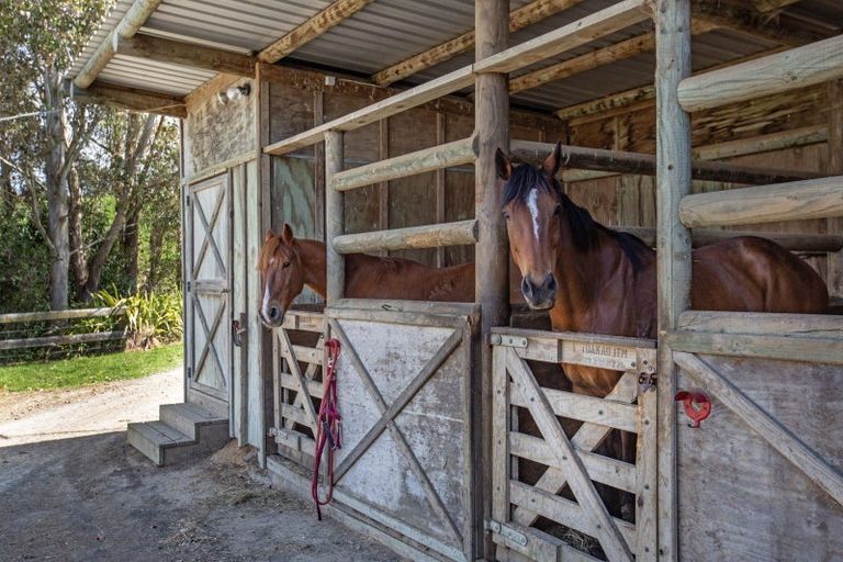 Photo of property in 168 Te Puroa Road, Ngaruawahia, 3793