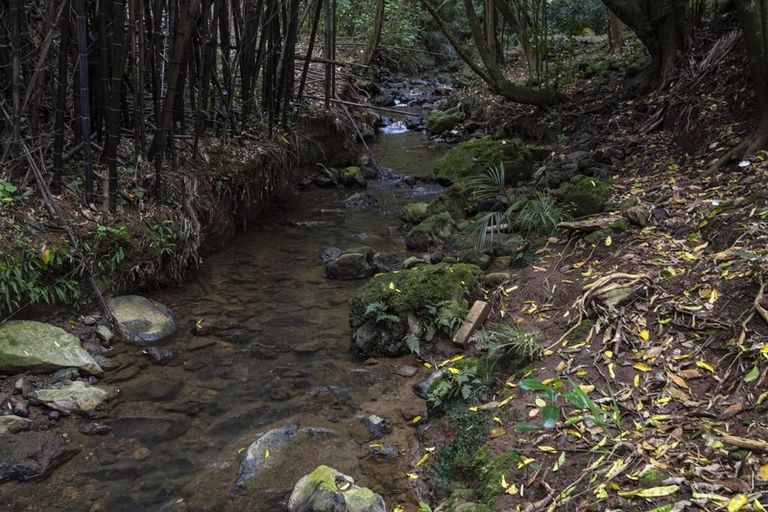 Photo of property in 17 Parkland Crescent, Te Kamo, Whangarei, 0112