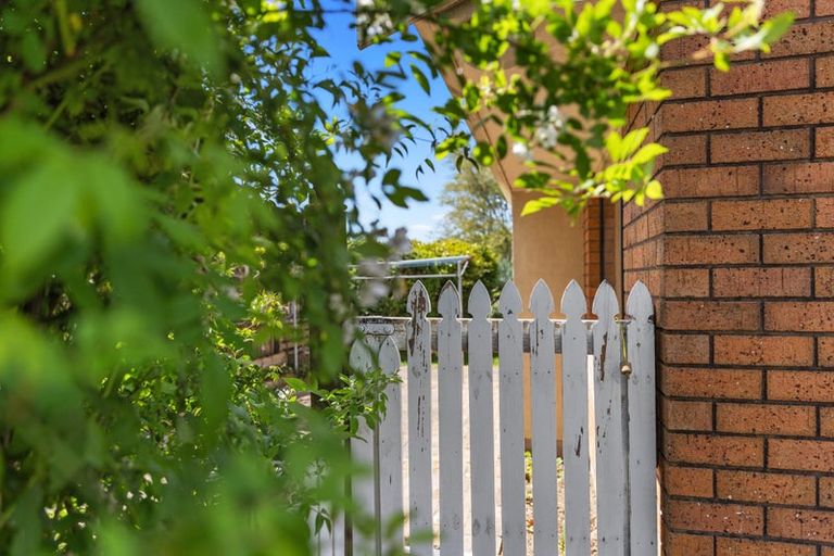 Photo of property in 3a Ninth Avenue, Tauranga, 3110