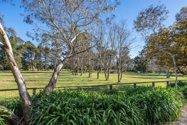 Photo of property in 328 Purchas Road, Glasnevin, Amberley, 7482
