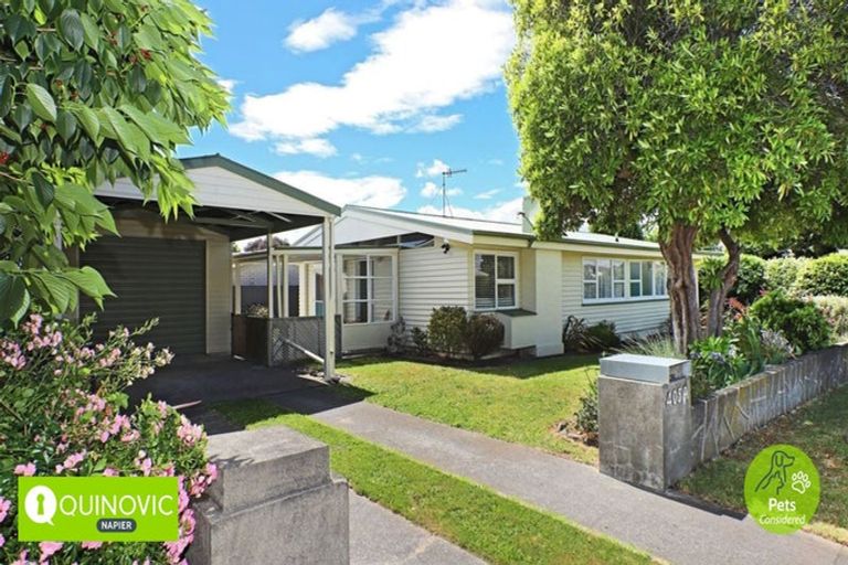 Photo of property in 405a Burnett Street, Mahora, Hastings, 4120