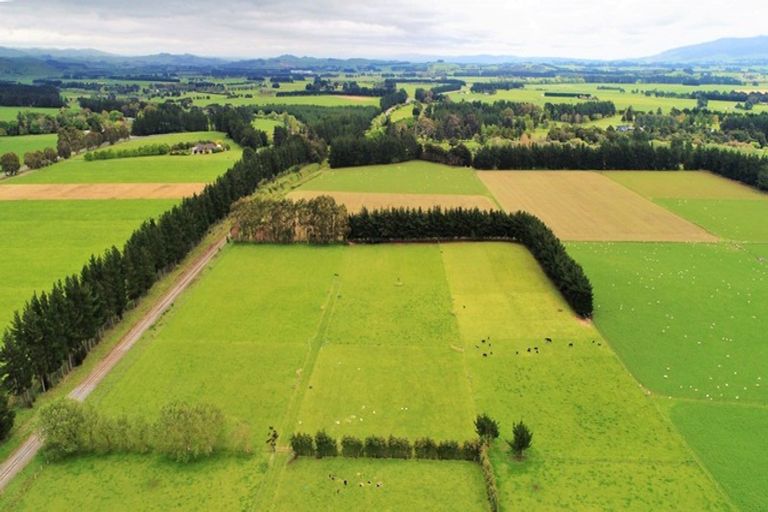 Photo of property in 39 Laws Road, Dannevirke, 4972