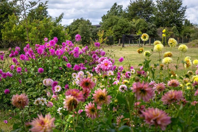 Photo of property in 2430 State Highway 2, Greytown, 5794