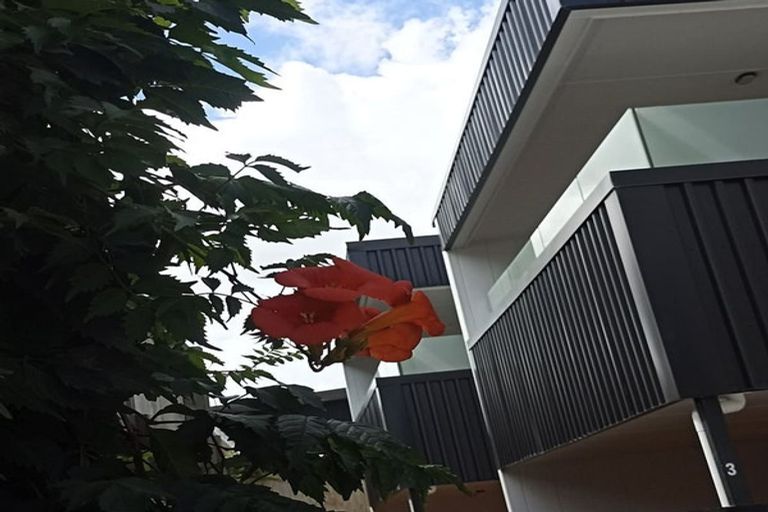 Photo of property in 31 Seddon Road, Puketaha, Hamilton, 3281